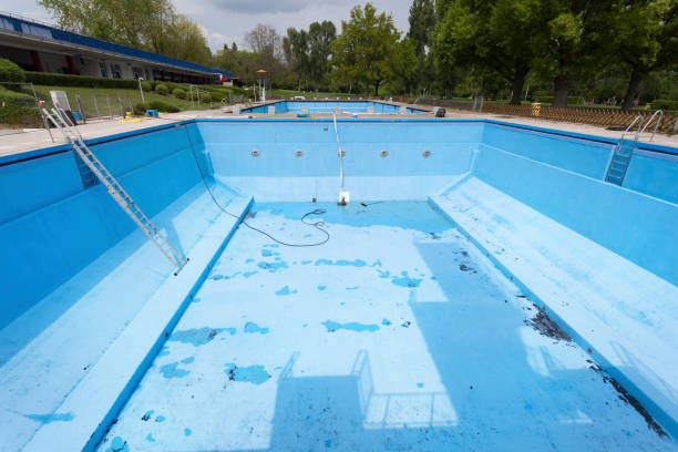 Best Flood damage cleanup  in Trafford, PA
