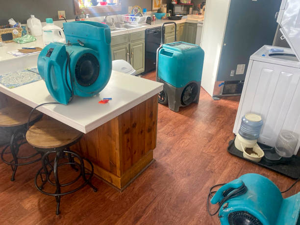 Best Emergency water damage restoration  in Trafford, PA