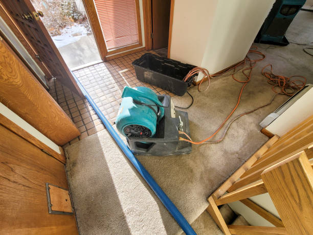 Best Fire Damage Restoration  in Trafford, PA