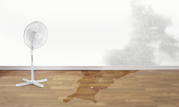 Best Sewage cleanup and water damage restoration  in Trafford, PA