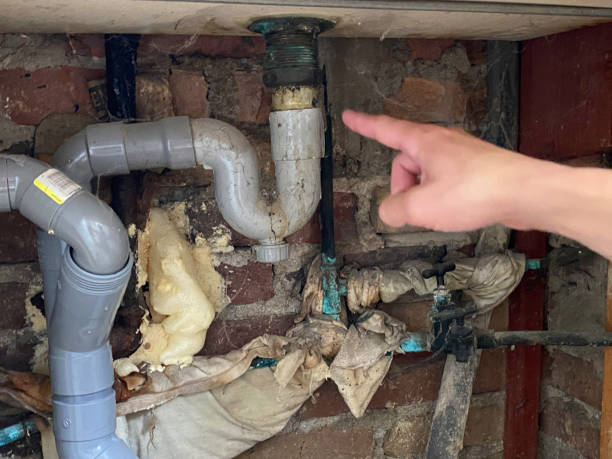 Best Flood restoration services  in Trafford, PA